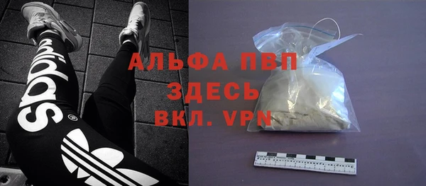 крисы Аркадак