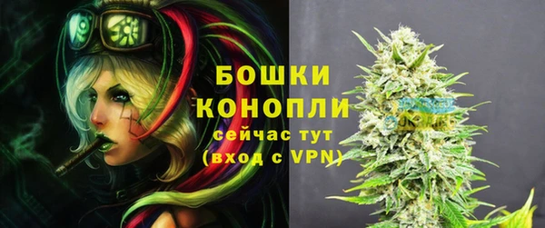 крисы Аркадак