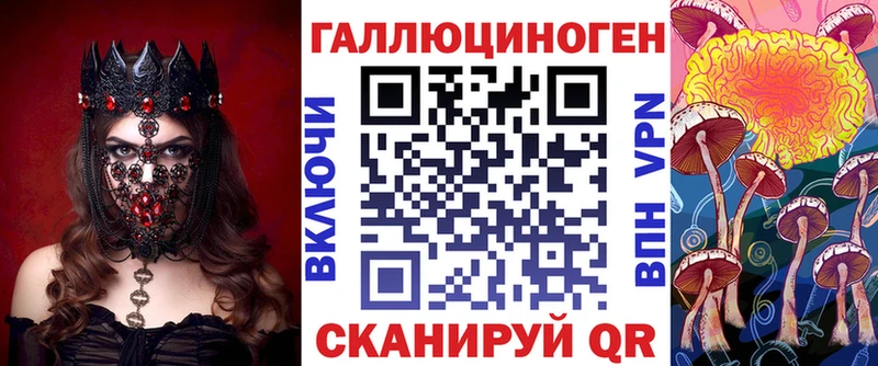 где можно купить   Нытва  ссылка на мегу ТОР  Псилоцибиновые грибы Psilocybe 
